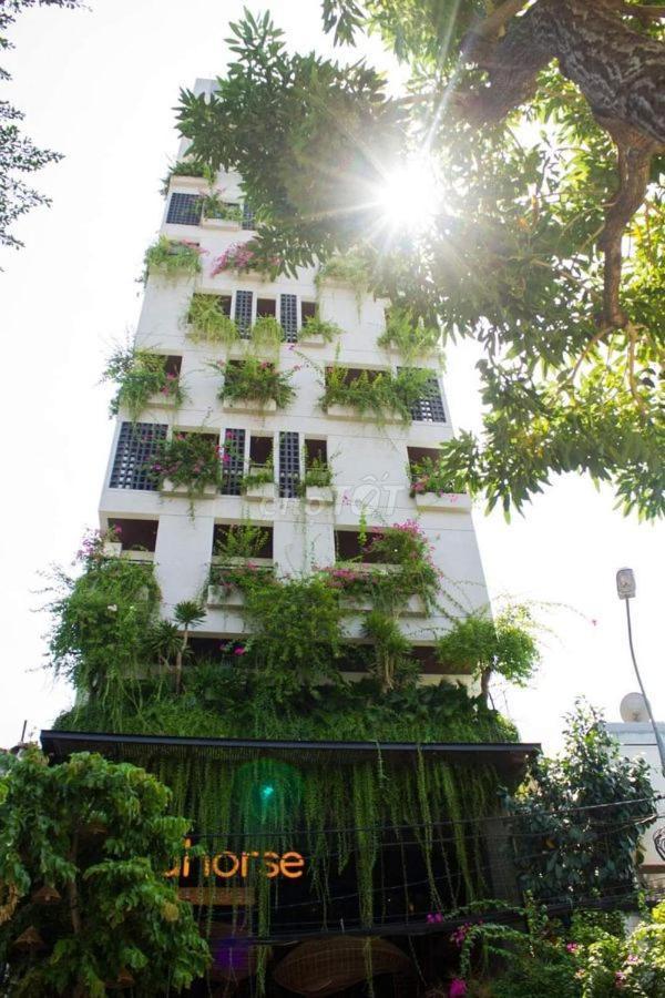 Seahorse Tropical Apartment Дананг Экстерьер фото
